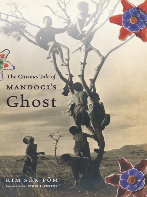 Title details for The Curious Tale of Mandogi's Ghost by Sok-pom Kim - Available